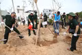 Các cựu chiến binh phường Quy Nhơn Nam tham gia hoạt động trồng cây xanh tại khu vực Dự án Phú Gia Royal Park Quy Nhơn. Ảnh: Tiến Sỹ