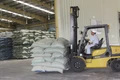 Hoạt động sản xuất thức ăn gia súc của Công ty TNHH ANT tại Khu công nghiệp Nhơn Hòa. 