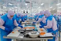 Kim ngạch xuất khẩu tháng 7 ước đạt 253,16 triệu USD, nâng tổng kim ngạch xuất khẩu lũy kế 7 tháng lên 2,354 tỷ USD, tăng 2,7% so với cùng kỳ năm 2025.
