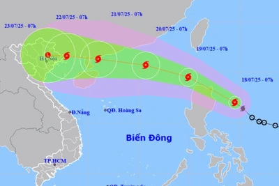 Chủ động ứng phó bão WIPHA