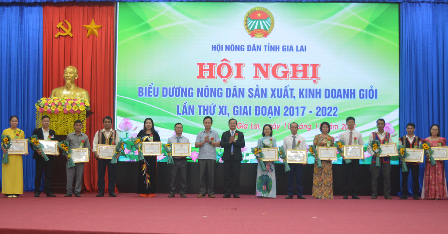 Biểu dương nông dân sản xuất, kinh doanh giỏi nhằm khuyến khích nông dân tích cực hơn nữa trong thi đua. Ảnh. P.D