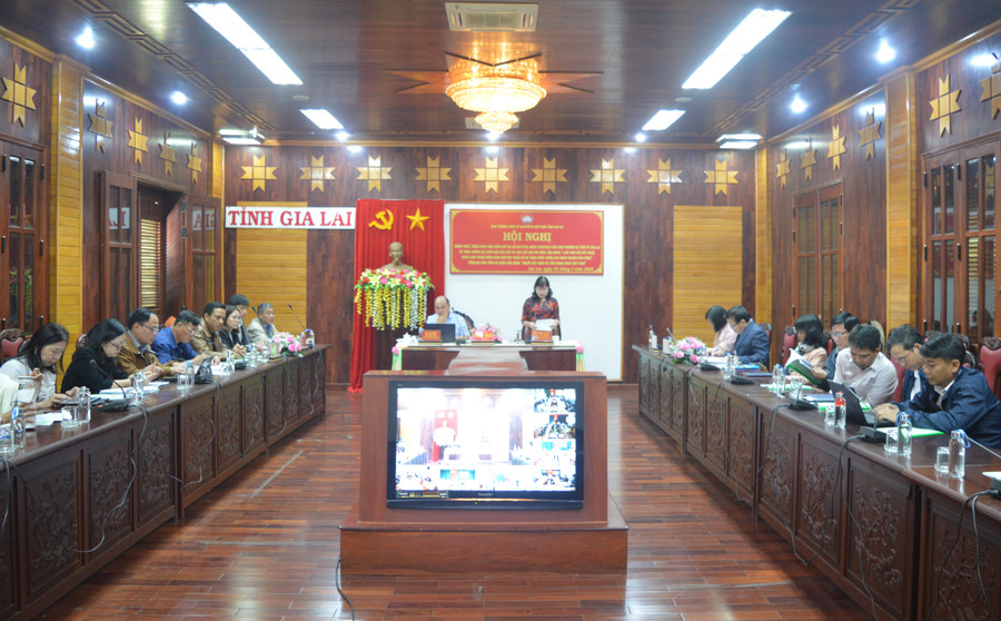 Quang cảnh hội nghị tại điểm cầu chính Hội trường 2-9 (TP. Pleiku). Ảnh: Anh Huy