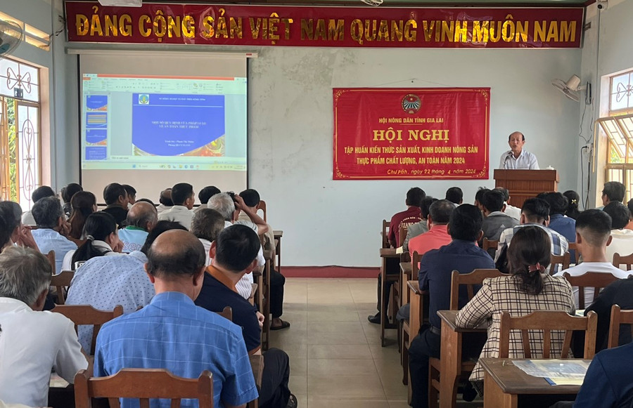 Quang cảnh lớp tập huấn. Ảnh: Hà Nguyễn