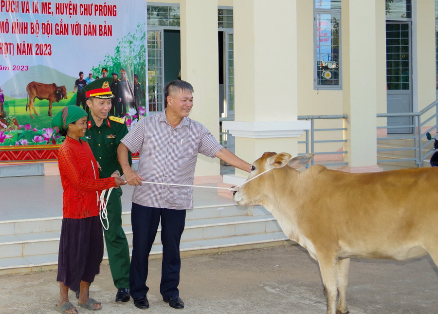 Đại diện Công ty TNHH một thành viên Bình Dương (Binh đoàn 15) và lãnh đạo huyện Chư Prông tặng bò giống sinh sản cho người dân xã Ia Púch. Ảnh: Anh Huy