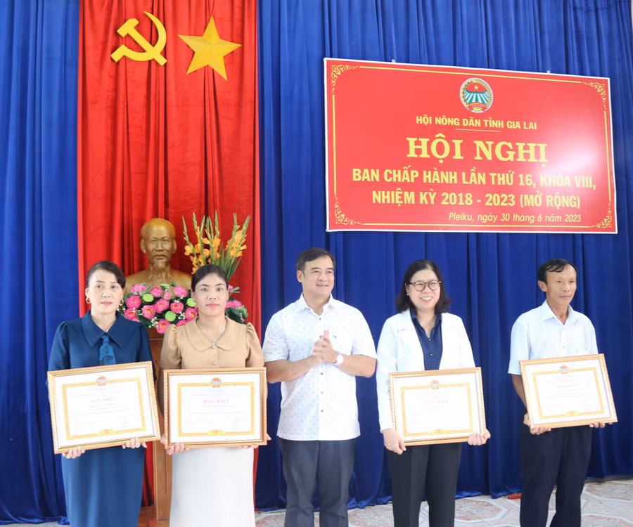 Chủ tịch Hội Nông dân tỉnh Võ Anh Tuấn (giữa) trao bằng khen của Trung ương Hội Nông dân Việt Nam cho đại diện các tập thể, cá nhân. Ảnh: Anh Huy