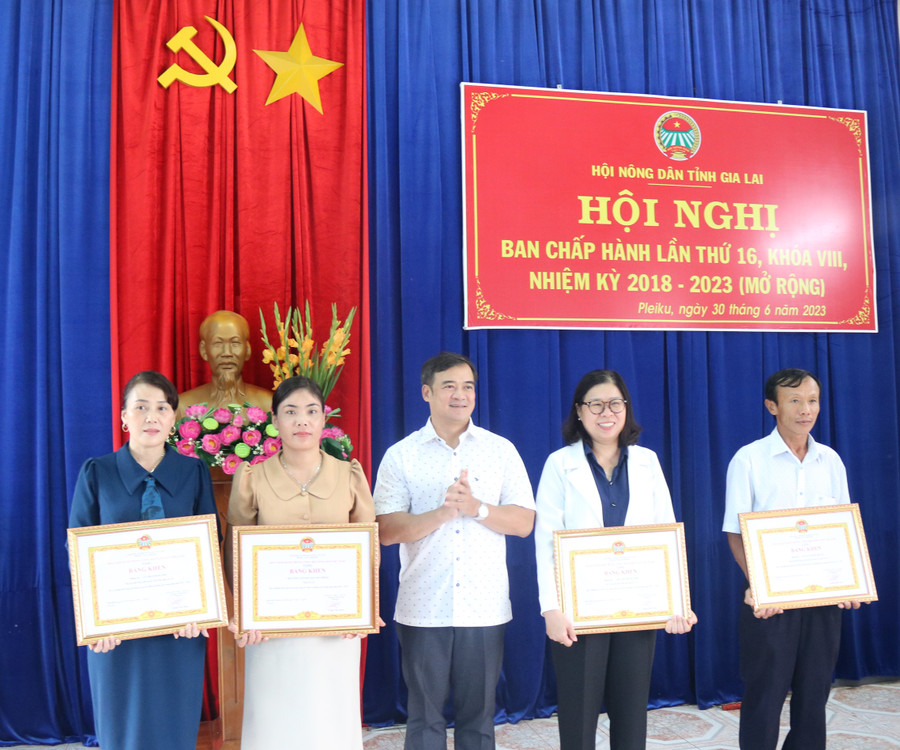 Chủ tịch Hội Nông dân tỉnh Võ Anh Tuấn (giữa) trao bằng khen của Trung ương Hội Nông dân Việt Nam cho đại diện các tập thể, cá nhân. Ảnh: Anh Huy Chủ tịch Hội Nông dân tỉnh Võ Anh Tuấn (giữa) trao bằng khen của Trung ương Hội Nông dân Việt Nam cho đại diện các tập thể, cá nhân. Ảnh: Anh Huy