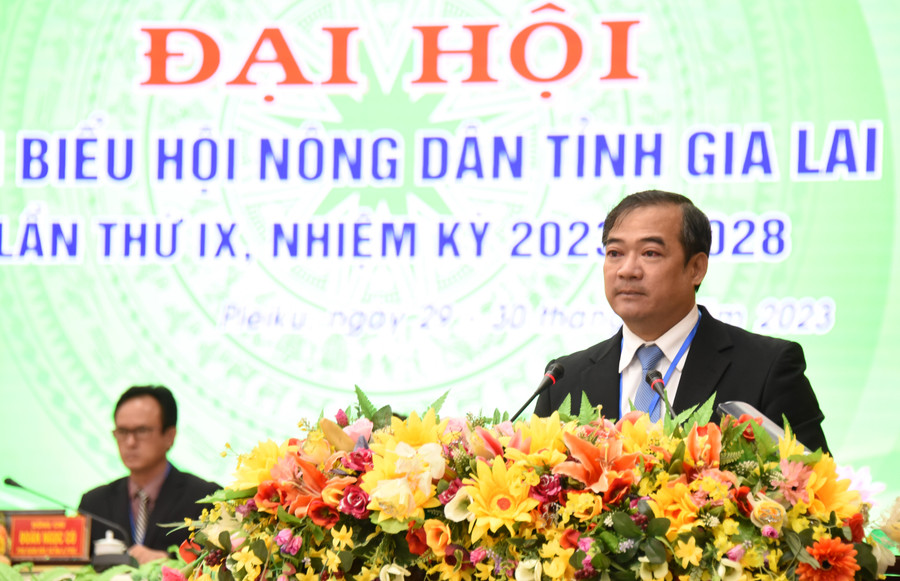 Đồng chí Võ Anh Tuấn-Chủ tịch Hội Nông dân tỉnh phát biểu khai mạc Đại hội. Ảnh: Đức Thụy