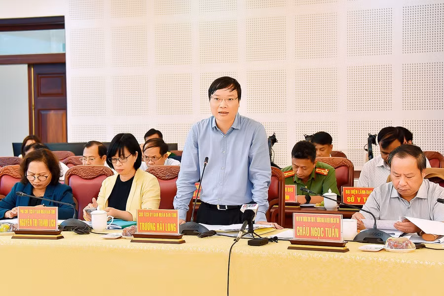 Chủ tịch UBND tỉnh Trương Hải Long tham gia ý kiến với đoàn giám sát. Ảnh: Đức Thụy