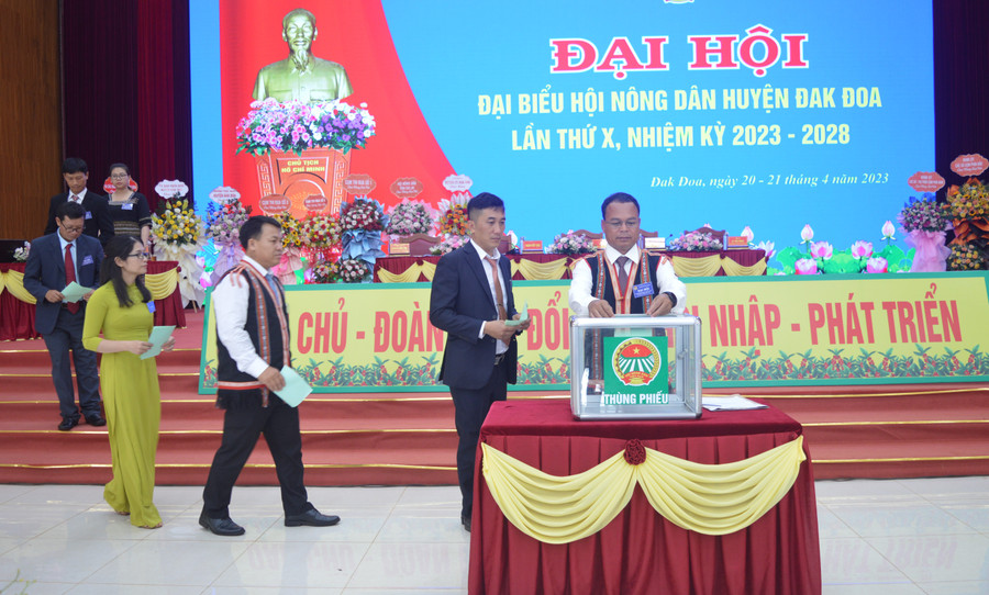 Các đại biểu bỏ phiếu bầu Ban Chấp hành Hội Nông dân huyện nhiệm kỳ 2023-2028. Ảnh: Anh Huy Các đại biểu bỏ phiếu bầu Ban Chấp hành Hội Nông dân huyện nhiệm kỳ 2023-2028. Ảnh: Anh Huy