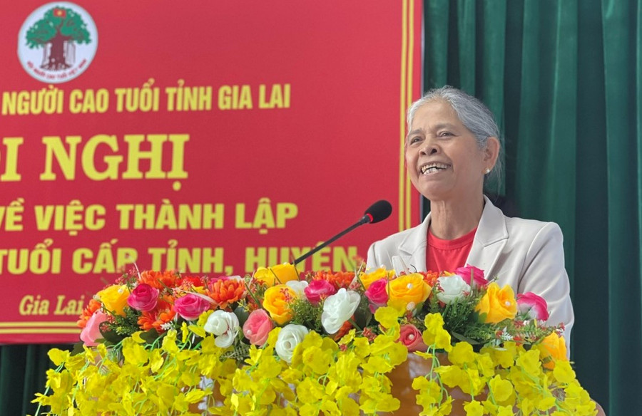 Trưởng ban đại diện Hội Người cao tuổi tỉnh Rơ Châm Hyéo phát biểu tại hội nghị. Ảnh: P.D Trưởng ban đại diện Hội Người cao tuổi tỉnh Rơ Châm Hyéo phát biểu tại hội nghị. Ảnh: P.D
