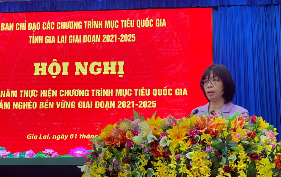 Phó Chủ tịch UBND tỉnh Nguyễn Thị Thanh Lịch phát biểu tại hội nghị. Ảnh: Anh Huy