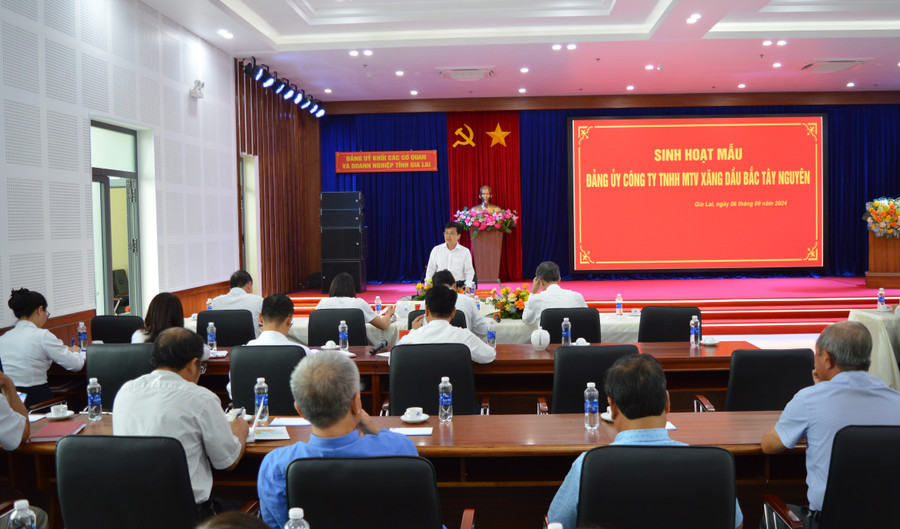 Đảng ủy Công ty TNHH một thành viên Xăng dầu Bắc Tây Nguyên triển khai sinh hoạt mẫu. Ảnh: P.D