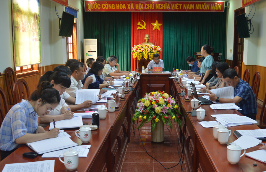 Các đại biểu tham gia ý kiến tại phiên họp. Ảnh: Anh Huy