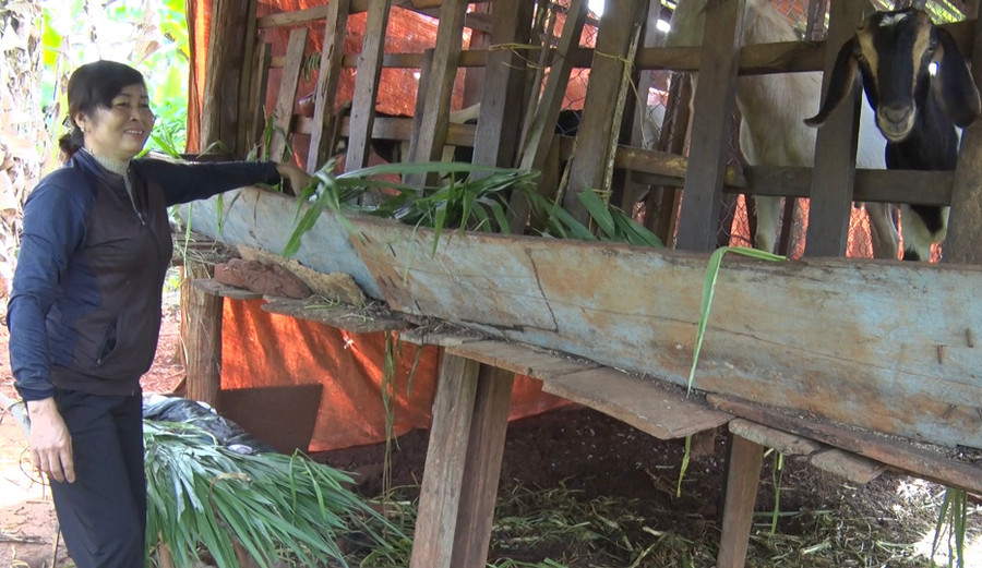 Bà Cao Thị Hoa phấn khởi khi được Hội Liên hiệp Phụ nữ thị trấn quan tâm, hỗ trợ sinh kế. Ảnh: Thanh Tịnh Bà Cao Thị Hoa phấn khởi khi được Hội Liên hiệp Phụ nữ thị trấn quan tâm, hỗ trợ sinh kế. Ảnh: Thanh Tịnh