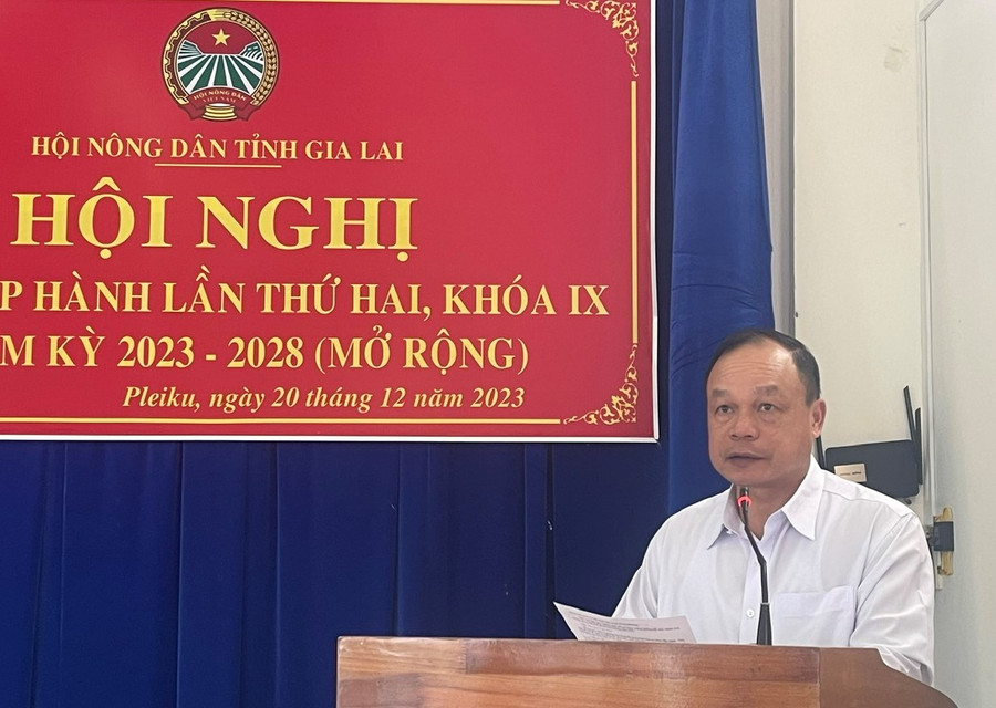 Phó Chủ tịch UBND tỉnh Dương Mah Tiệp phát biểu tại hội nghị. Ảnh: Anh Huy Phó Chủ tịch UBND tỉnh Dương Mah Tiệp phát biểu tại hội nghị. Ảnh: Anh Huy