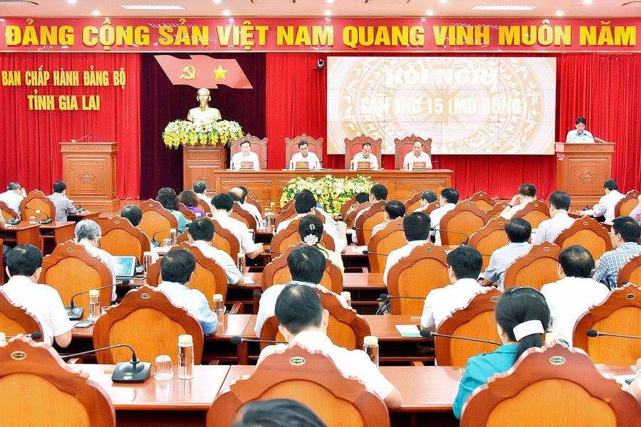 Quang cảnh hội nghị. Ảnh: Đức Thụy