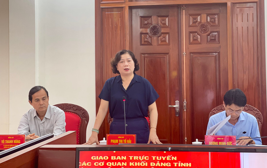 Trưởng ban Dân vận Tỉnh ủy Phạm Thị Tố Hải tham gia ý kiến tại hội nghị. Ảnh: P.D