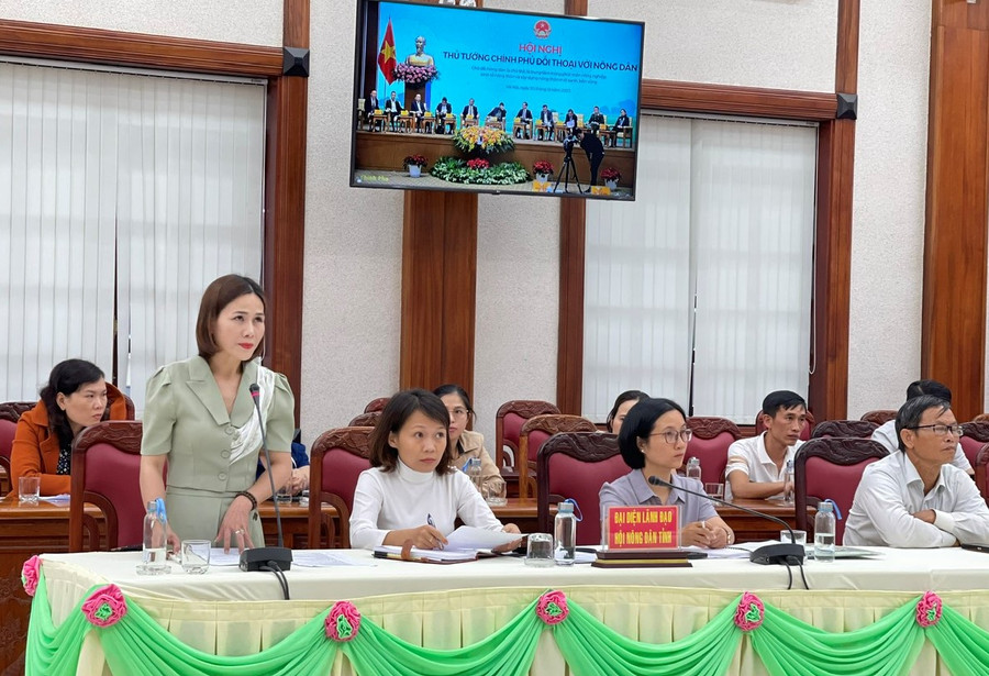 Bà Đỗ Thị Mỹ Thơm-Giám đốc HTX Hùng Thơm (huyện Mang Yang) đặt câu hỏi với Thủ tướng tại điểm cầu Hội trường 2-9. Ảnh: Anh Huy Bà Đỗ Thị Mỹ Thơm-Giám đốc HTX Hùng Thơm (huyện Mang Yang) đặt câu hỏi với Thủ tướng tại điểm cầu Hội trường 2-9. Ảnh: Anh Huy