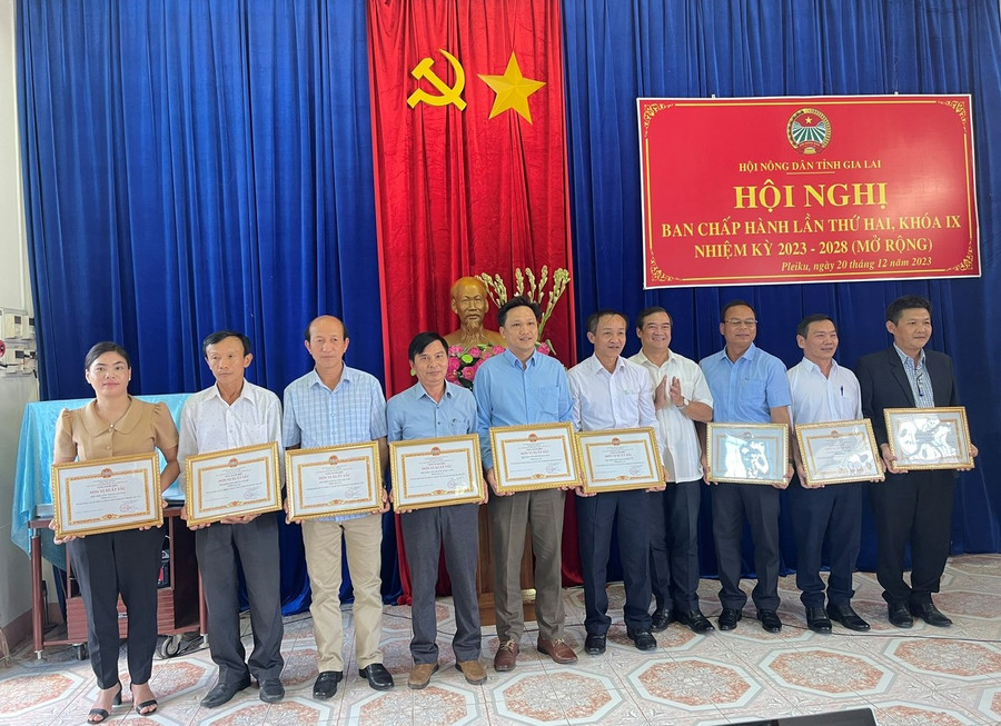 Chủ tịch Hội Nông dân tỉnh Võ Anh Tuấn (thứ 7 từ trái sang) tặng danh hiệu thi đua cho các tập thể xuất sắc. Ảnh: Anh Huy Chủ tịch Hội Nông dân tỉnh Võ Anh Tuấn (thứ 7 từ trái sang) tặng danh hiệu thi đua cho các tập thể xuất sắc. Ảnh: Anh Huy