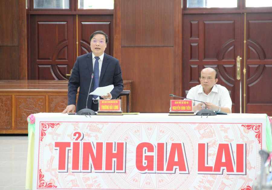 Chủ tịch UBND tỉnh Trương Hải Long trình bày tham luận về “Nhiệm vụ, giải pháp đẩy mạnh xây dựng vị trí việc làm của cán bộ, công chức, viên chức trong các cơ quan hành chính và đơn vị sự nghiệp công lập ở tỉnh Gia Lai” tại hội nghị. Ảnh: Anh Huy