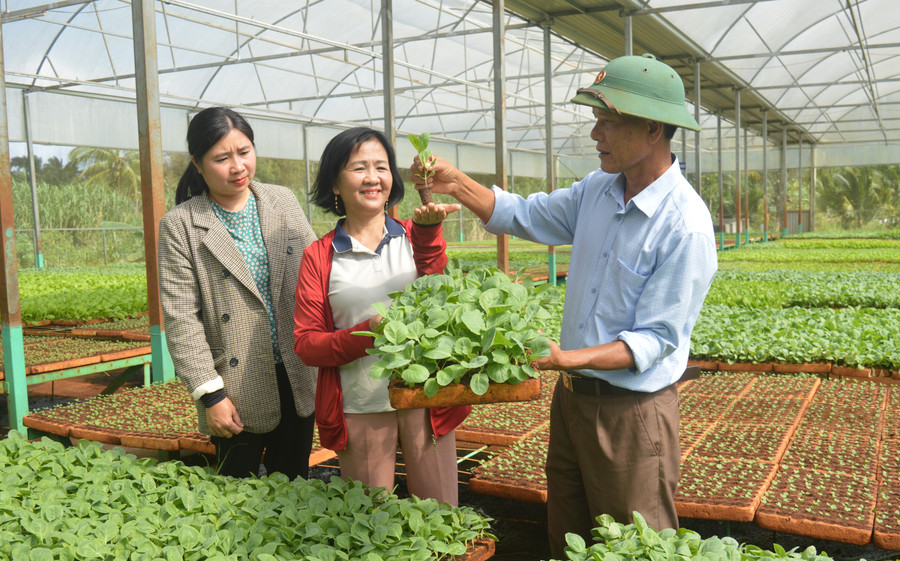 Số lượng hội viên đăng ký tham gia và tỷ lệ hộ hội viên đạt danh hiệu sản xuất-kinh doanh giỏi các cấp đều tăng. Ảnh: P.D