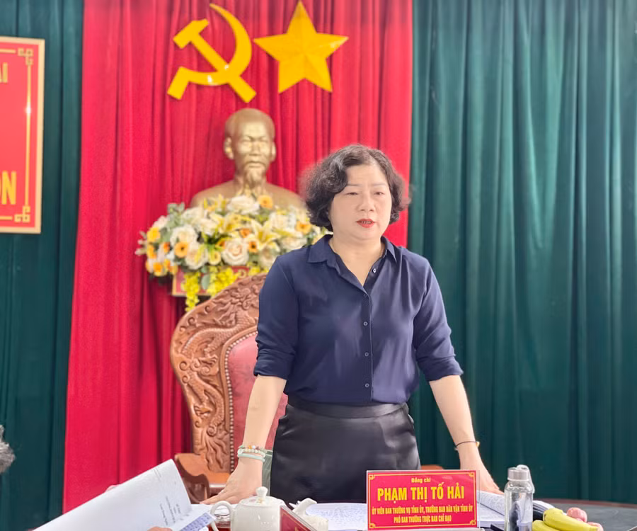 Trưởng ban Dân vận Tỉnh ủy Phạm Thị Tố Hải phát biểu tại buổi kiểm tra việc thực hiện QCDC ở cơ sở tại Sở Nông nghiệp và PTNT. Ảnh: P.D