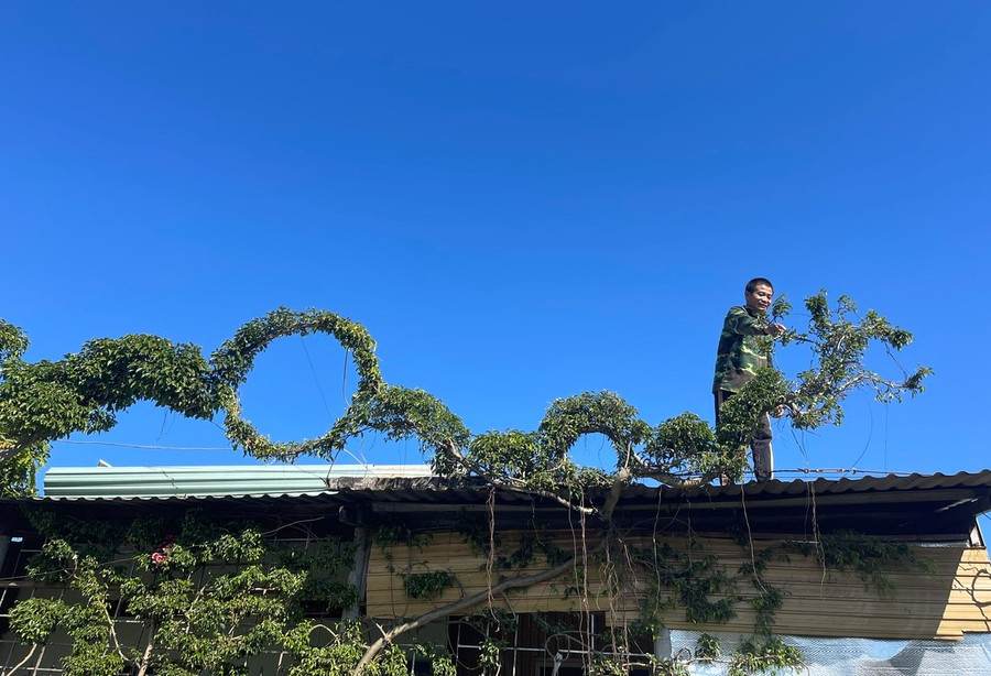 Ông Bình đang tạo hình rồng trên mái nhà. Ảnh: P.D Ông Bình đang tạo hình rồng trên mái nhà. Ảnh: P.D