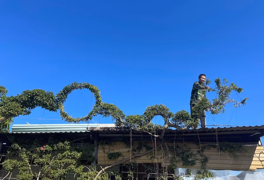 Ông Bình đang tạo hình rồng trên mái nhà. Ảnh: P.D