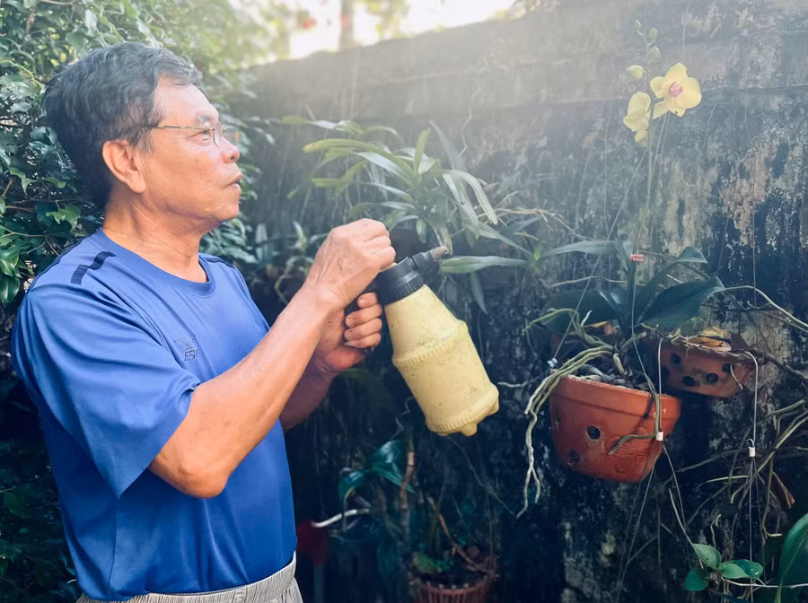 Niềm vui cuối ngày của lão nông 68 tuổi Lê Trung Nguyên là chăm sóc những chậu lan trước nhà. Ảnh: P.D