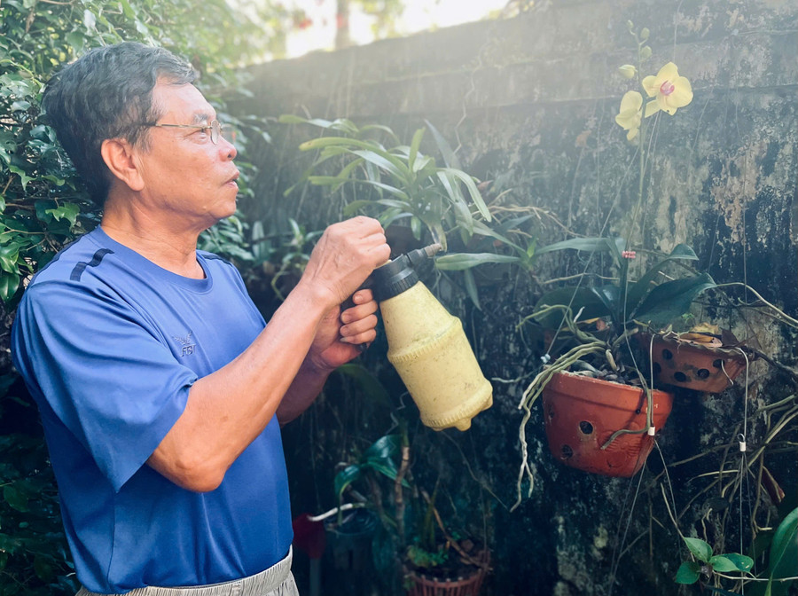 Niềm vui cuối ngày của lão nông 68 tuổi Lê Trung Nguyên là chăm sóc những chậu lan trước nhà. Ảnh: P.D