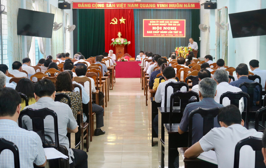 Quang cảnh hội nghị Ban Chấp hành Đảng bộ Khối lần thứ 18. Ảnh: P.D