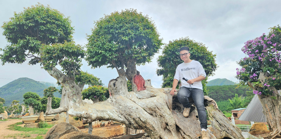 Cây bằng lăng hình con rồng được nhiều bạn trẻ đến check-in. Ảnh: Đồng Lai Cây bằng lăng hình con rồng được nhiều bạn trẻ đến check-in. Ảnh: Đồng Lai