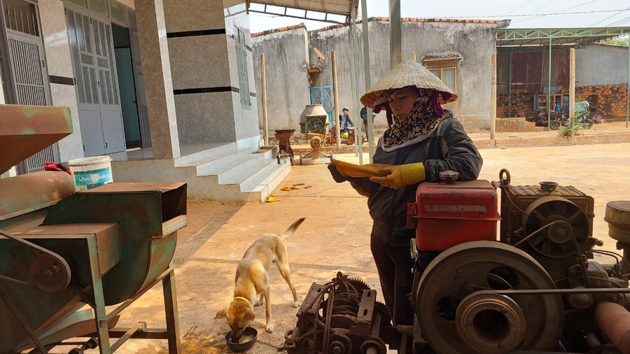 Chó nuôi thả rông rất khó bắt để tiêm phòng.Ảnh: Nguyễn Diệp