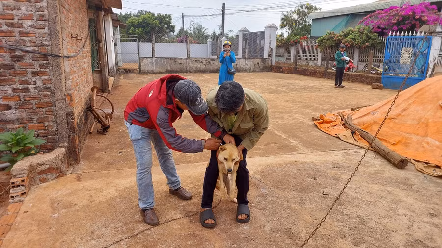 Cán bộ thú y tiêm phòng cho đàn chó tại xã Ia Glai.Ảnh: Nguyễn Diệp