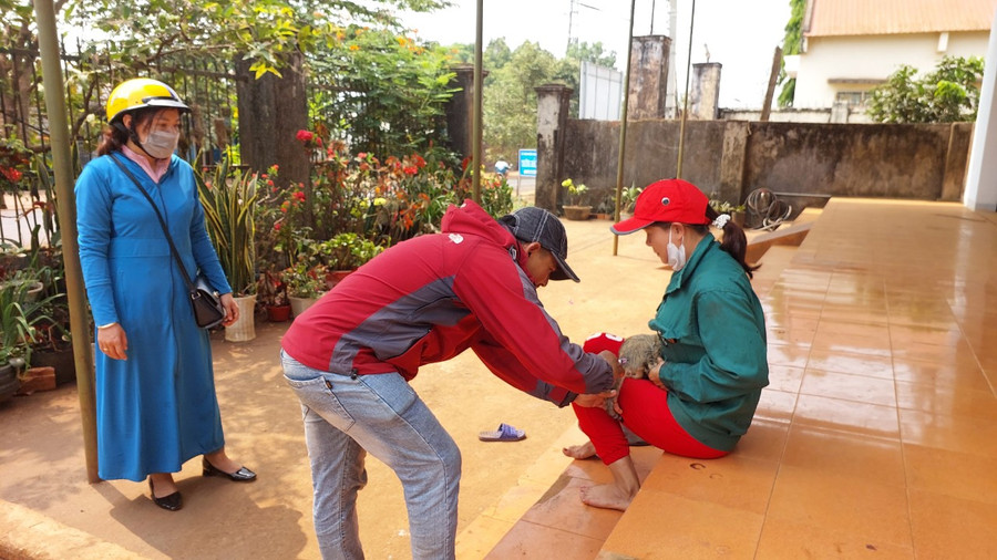 Tiêm phòng cho mèo nuôi.Ảnh: Nguyễn Diệp