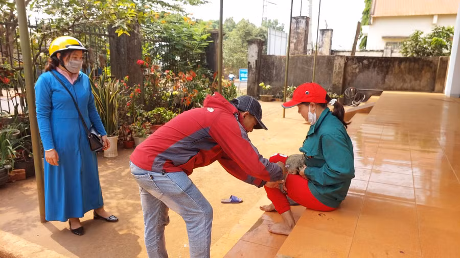 Tiêm phòng cho mèo nuôi.Ảnh: Nguyễn Diệp