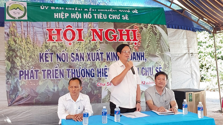 Ông Nguyễn Dũng-Phó Chủ tịch Hiệp hội Trang trại và Doanh nghiệp nông nghiệp Việt Nam, Chủ tịch Hiệp hội Hồ tiêu Chư Sê thông tin về cây hồ tiêu hiện nay. Ảnh: Nguyễn Diệp Ông Nguyễn Dũng-Phó Chủ tịch Hiệp hội Trang trại và Doanh nghiệp nông nghiệp Việt Nam, Chủ tịch Hiệp hội Hồ tiêu Chư Sê thông tin về cây hồ tiêu hiện nay. Ảnh: Nguyễn Diệp