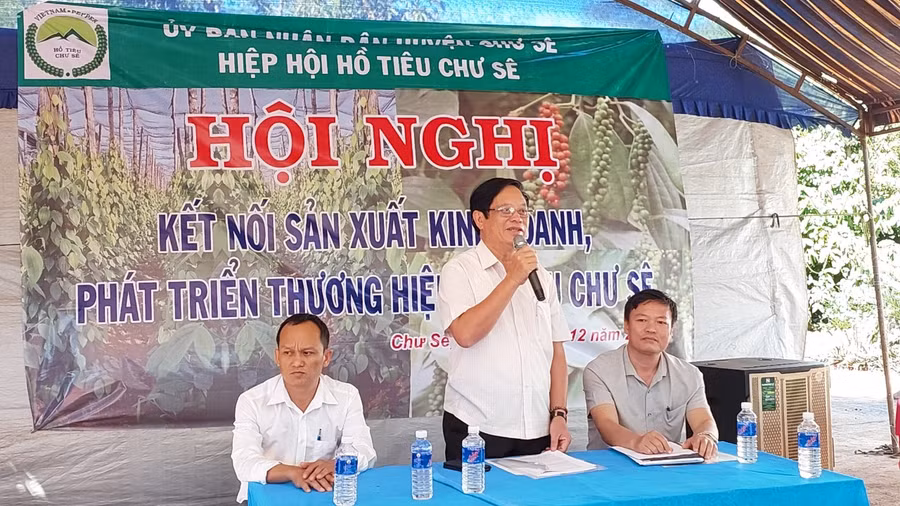 Ông Nguyễn Dũng-Phó Chủ tịch Hiệp hội Trang trại và Doanh nghiệp nông nghiệp Việt Nam, Chủ tịch Hiệp hội Hồ tiêu Chư Sê thông tin về cây hồ tiêu hiện nay. Ảnh: Nguyễn Diệp