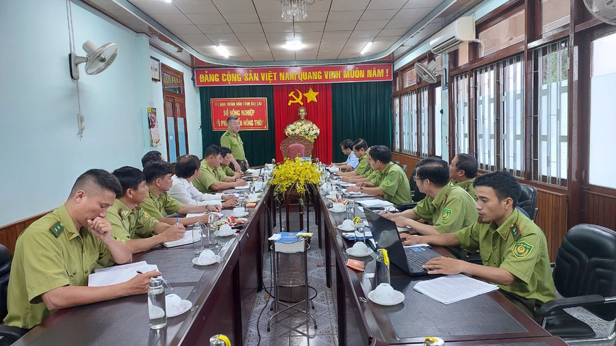 Quang cảnh buổi làm việc giữa đoàn công tác với lãnh đạo Sở Nông nghiệp và PTNT, Chi cục Kiểm lâm và một số đơn vị chủ rừng. Ảnh: Nguyễn Diệp