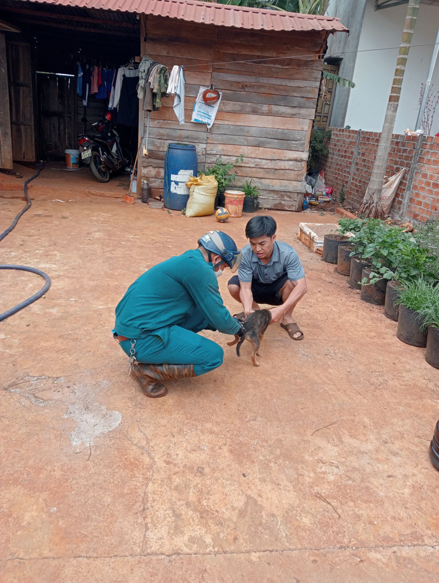 Tiêm phòng vắc xin dại chó tại xã Ia Hlốp (huyện Chư Sê). Ảnh: Nguyễn Diệp