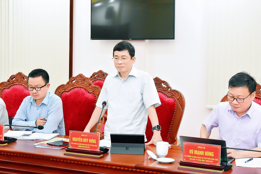 Ông Nguyễn Duy Hưng-Phó Trưởng Ban điều hành Ban Kinh tế Trung ương phát biểu tại buổi làm việc. Ảnh: Đức Thụy