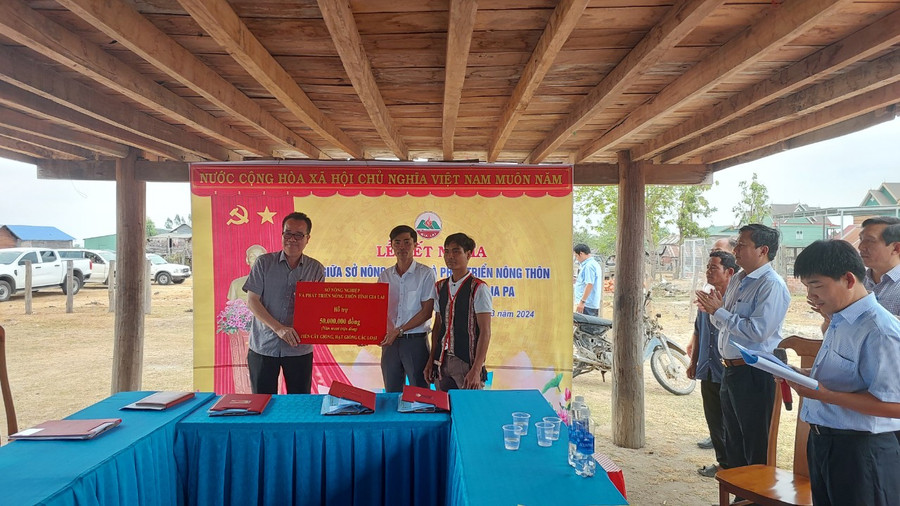 Giám đốc Sở Nông nghiệp và PTNT trao tặng 50 triệu đồng tiền mua giống cây trồng. Ảnh; Nguyễn Diệp