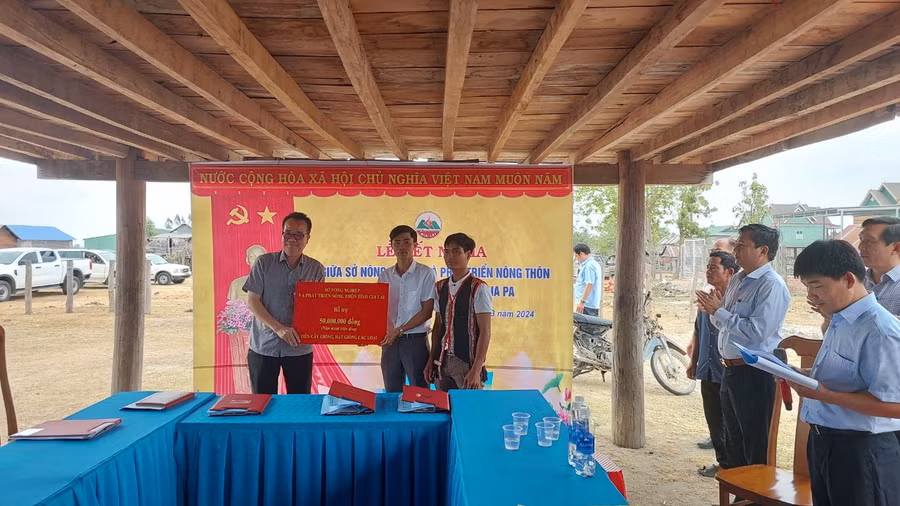 Giám đốc Sở Nông nghiệp và PTNT trao tặng 50 triệu đồng tiền mua giống cây trồng. Ảnh; Nguyễn Diệp