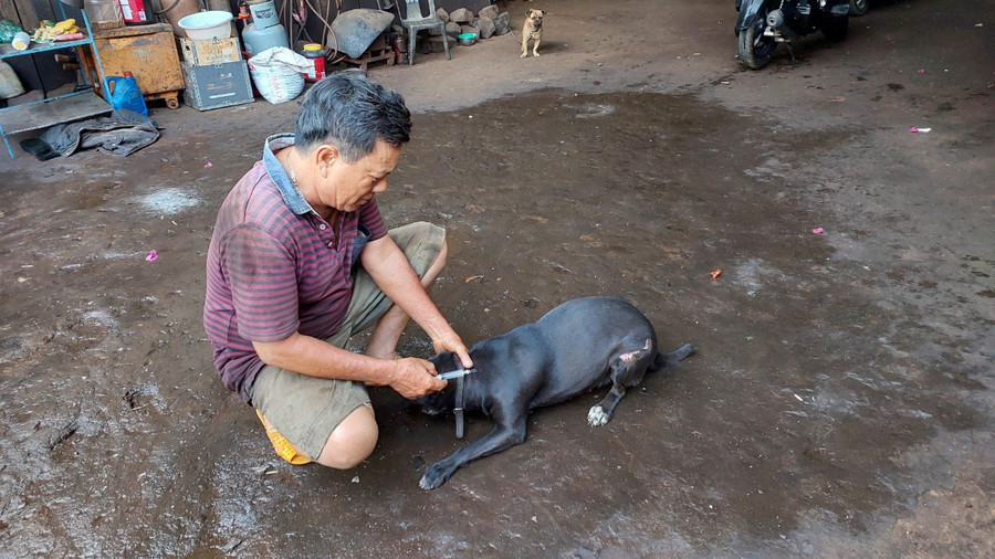 Người dân TP.Pleiku mua vắc xin tiêm phòng cho đàn chó nuôi. Ảnh: Nguyễn Diệp Người dân TP.Pleiku mua vắc xin tiêm phòng cho đàn chó nuôi. Ảnh: Nguyễn Diệp