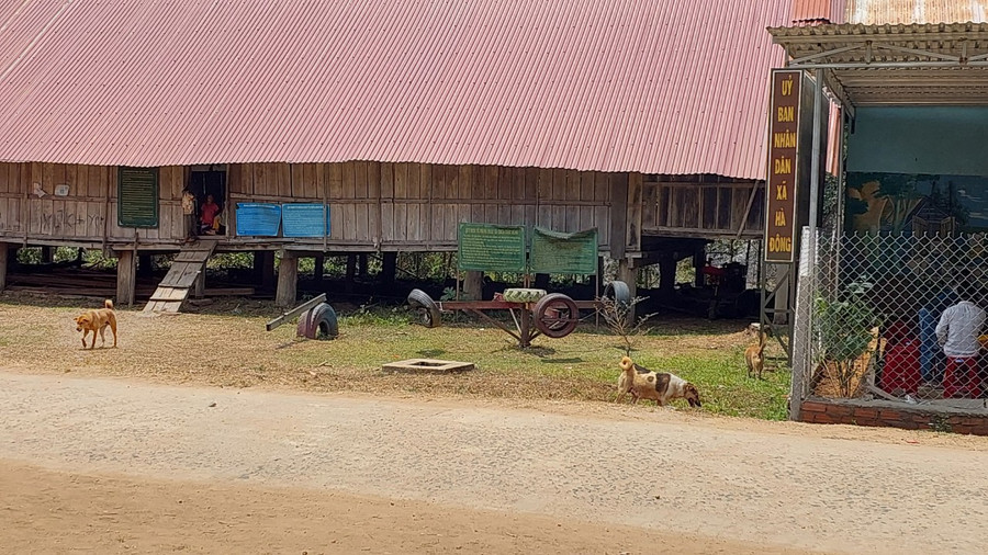 Tập quán nuôi chó thả rông trong vùng đồng bào dân tộc thiểu số. Ảnh: Nguyễn Diệp Tập quán nuôi chó thả rông trong vùng đồng bào dân tộc thiểu số. Ảnh: Nguyễn Diệp