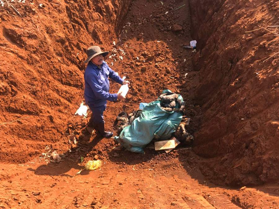 Khu vực tiêu hủy động vật rừng.Ảnh: Nguyễn Diệp Khu vực tiêu hủy động vật rừng.Ảnh: Nguyễn Diệp