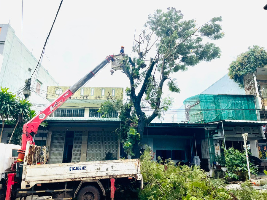 Công ty Cổ phần Công trình đô thị Gia Lai cắt tỉa cây xanh. Ảnh: Hồng Thương Công ty Cổ phần Công trình đô thị Gia Lai cắt tỉa cây xanh. Ảnh: Hồng Thương