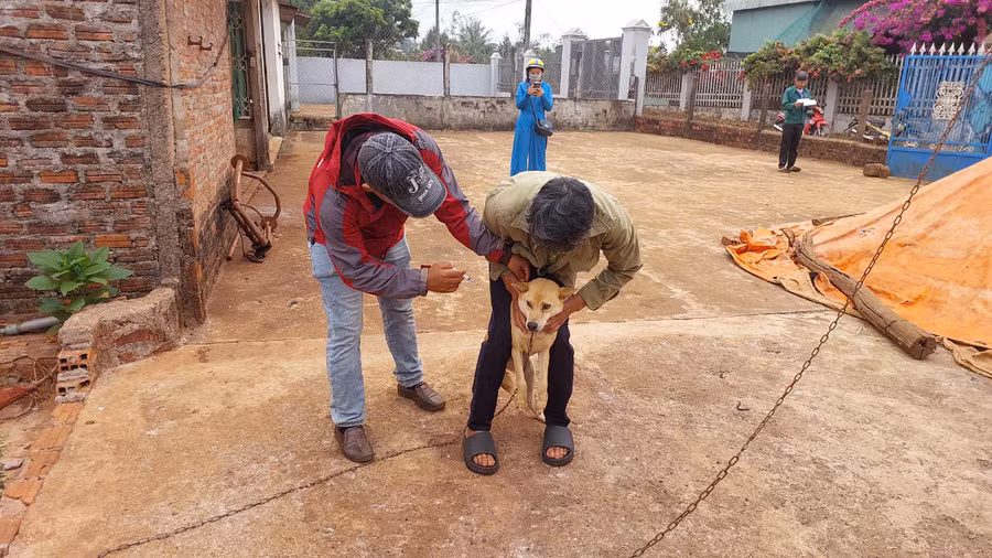 Cán bộ thú y Trung tâm Dịch vụ nông nghiệp huyện Chư Sê tiêm phòng vắc xin bệnh dại cho chó, mèo tại xã Ia Glai. Ảnh: Nguyễn Diệp