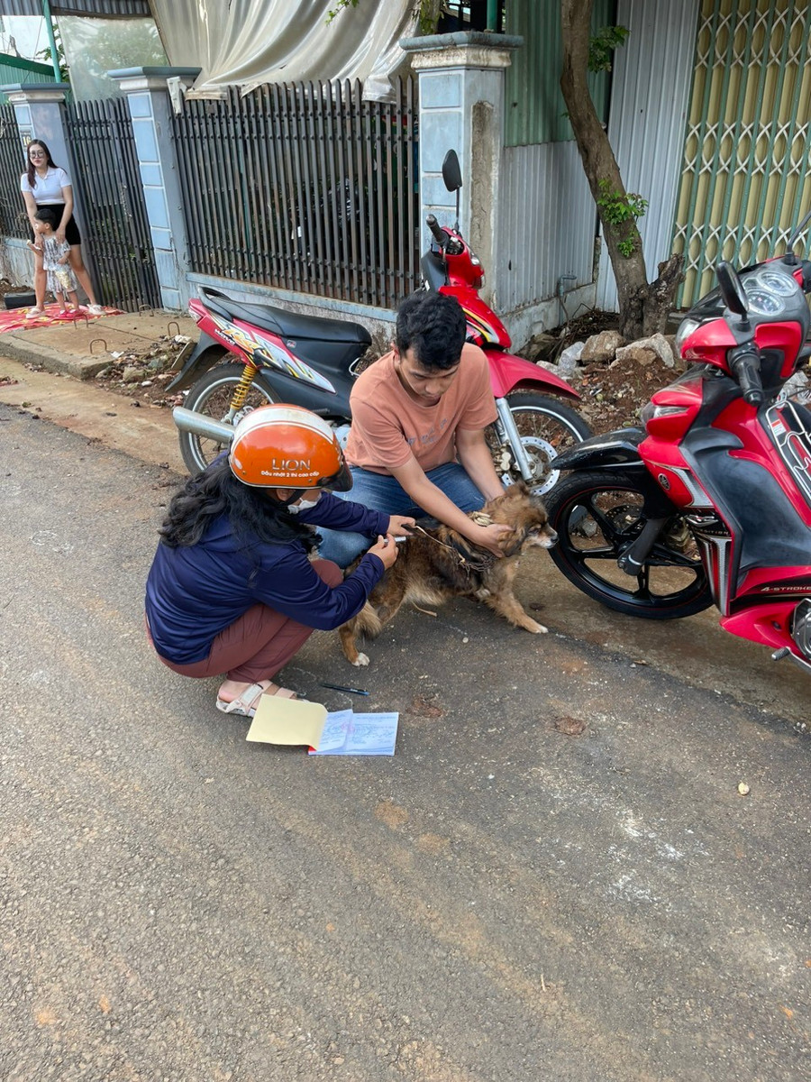 Tiêm phòng vắc xin bệnh dại trên đàn chó nuôi là giải pháp phòng-chống bệnh dại hiệu quả. Ảnh: Nguyễn Diệp Tiêm phòng vắc xin bệnh dại trên đàn chó nuôi là giải pháp phòng-chống bệnh dại hiệu quả. Ảnh: Nguyễn Diệp