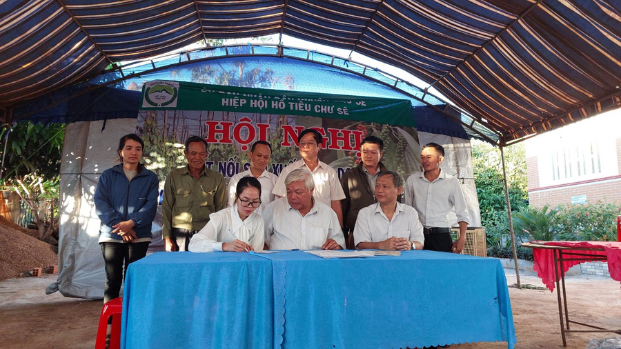 Chi hội hồ tiêu 2 xã Bar Măih và Bờ Ngoong ký biên bản ghi nhớ với doanh nghiệp thu mua hồ tiêu trong vụ mùa 2023-2024. Ảnh: Nguyễn Diệp Chi hội hồ tiêu 2 xã Bar Măih và Bờ Ngoong ký biên bản ghi nhớ với doanh nghiệp thu mua hồ tiêu trong vụ mùa 2023-2024. Ảnh: Nguyễn Diệp